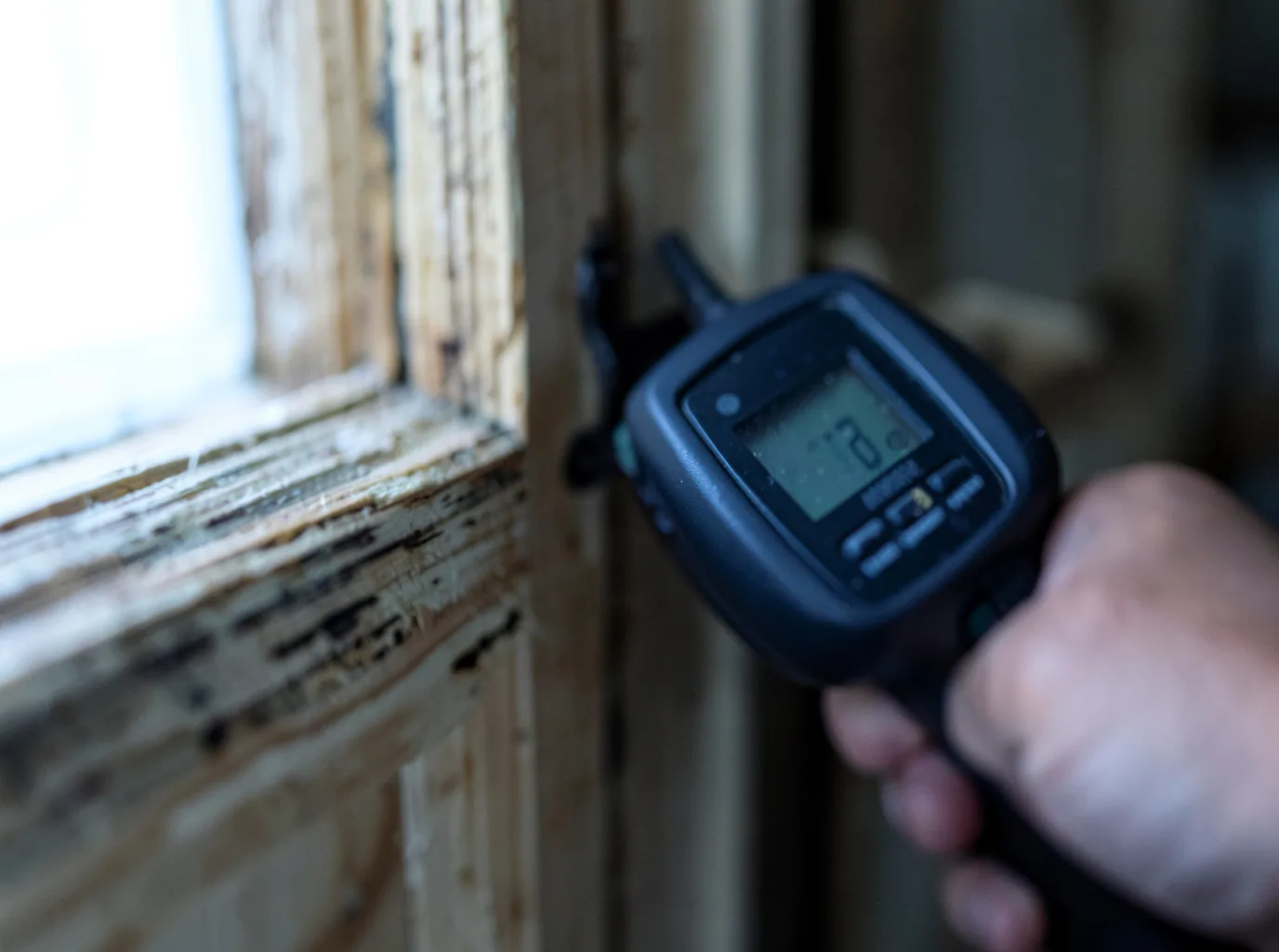 Moisture Inspection And Documentation in Elm Grove, WI